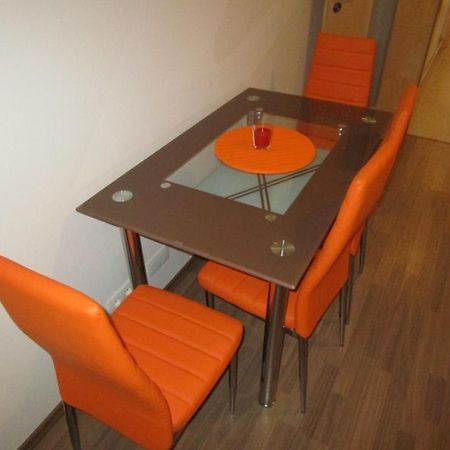 Apartman Ricky V Orlickych Horach Wüstenei Dış mekan fotoğraf