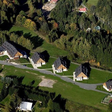 Apartman Ricky V Orlickych Horach Wüstenei Dış mekan fotoğraf