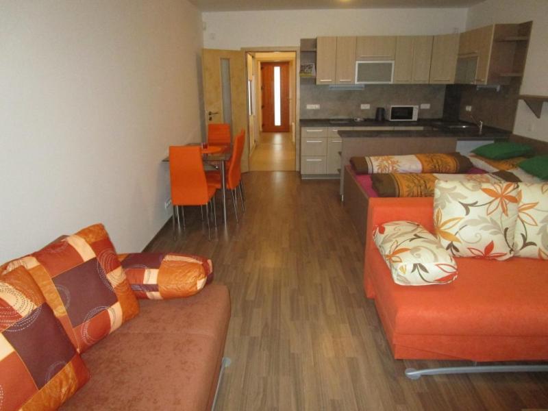 Apartman Ricky V Orlickych Horach Wüstenei Dış mekan fotoğraf
