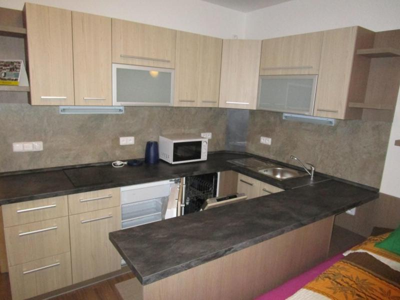 Apartman Ricky V Orlickych Horach Wüstenei Dış mekan fotoğraf