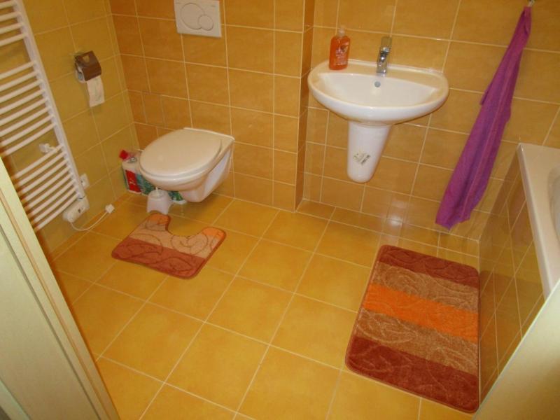 Apartman Ricky V Orlickych Horach Wüstenei Dış mekan fotoğraf