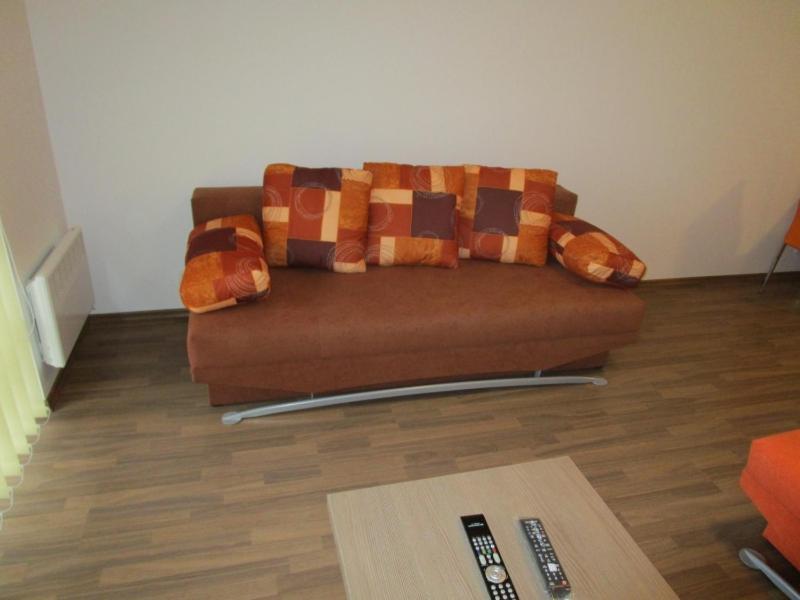 Apartman Ricky V Orlickych Horach Wüstenei Dış mekan fotoğraf