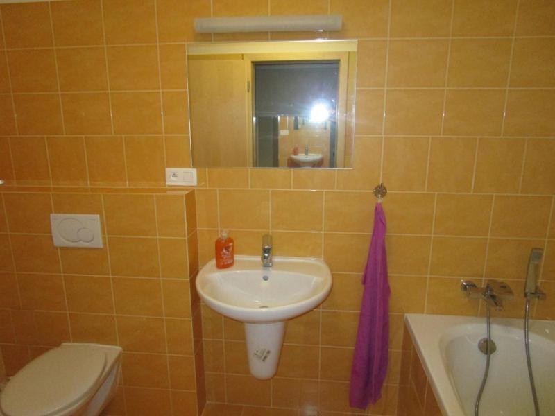 Apartman Ricky V Orlickych Horach Wüstenei Dış mekan fotoğraf