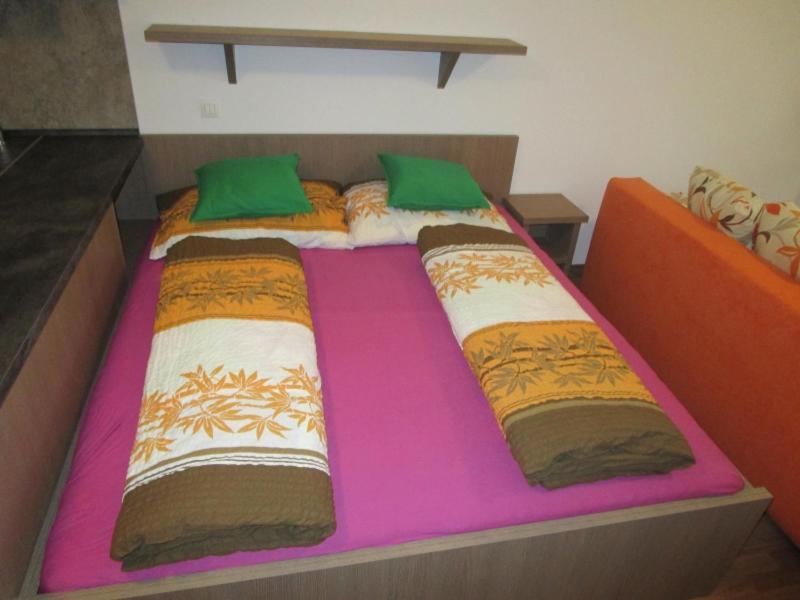 Apartman Ricky V Orlickych Horach Wüstenei Dış mekan fotoğraf
