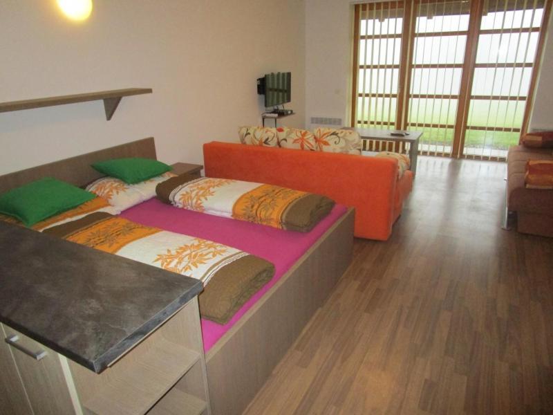 Apartman Ricky V Orlickych Horach Wüstenei Dış mekan fotoğraf
